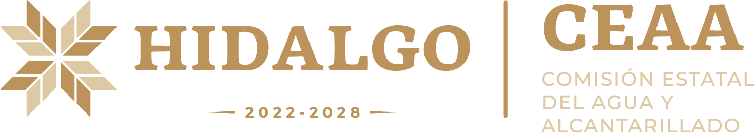 Logo Analizador